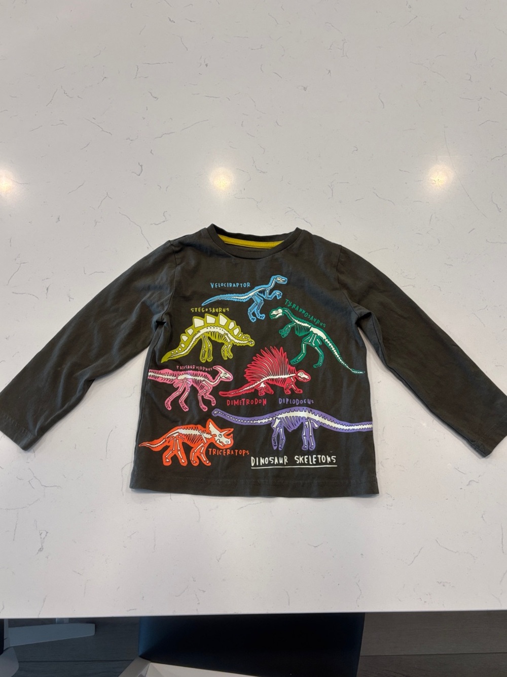 Glow in the Dark Long-Sleeve Tee with Colorful Dinosaur Skeletons